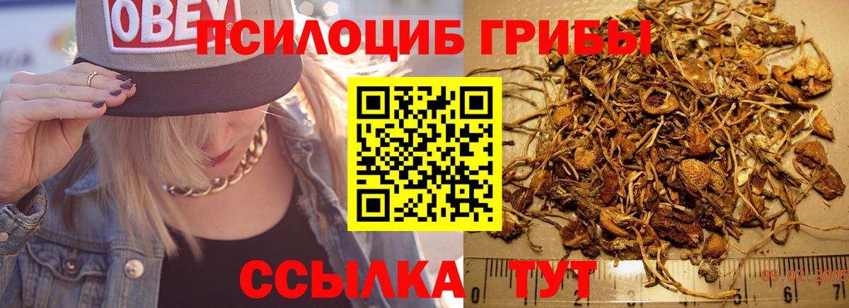 Элиста  Псилоцибиновые грибы ЛСД  Псилоцибиновые грибы GOLDEN TEACHER  Вход с VPN 