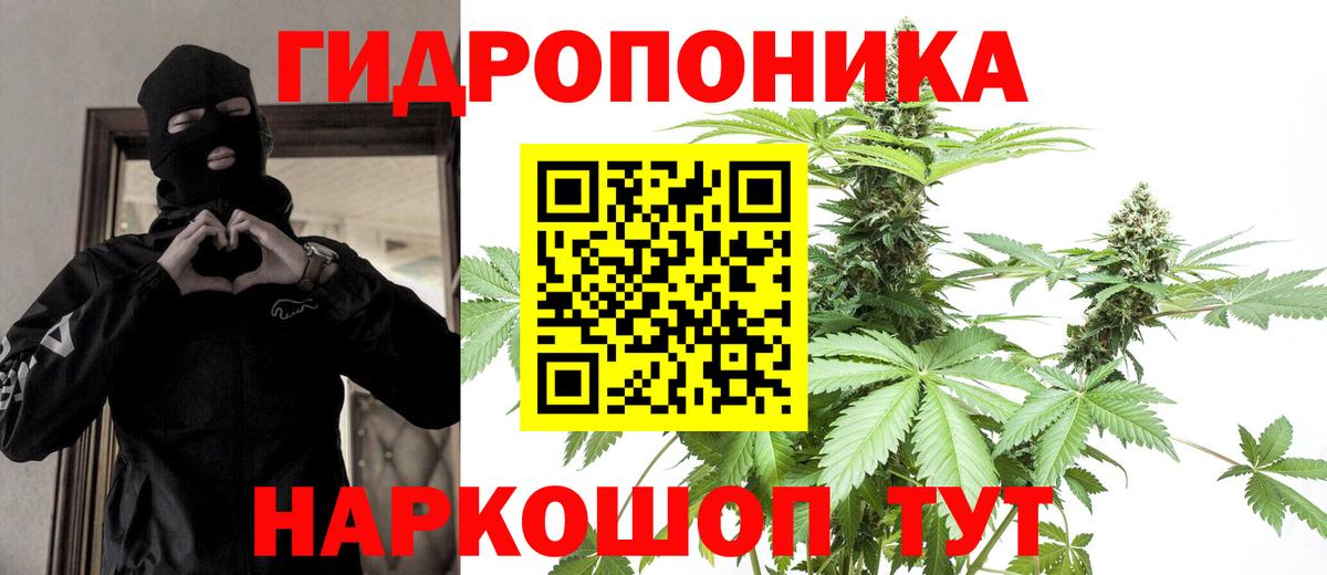 Каннабис гибрид Элиста